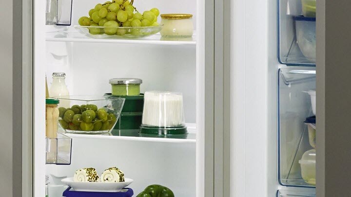 Zanussi Fridge Buying Guide